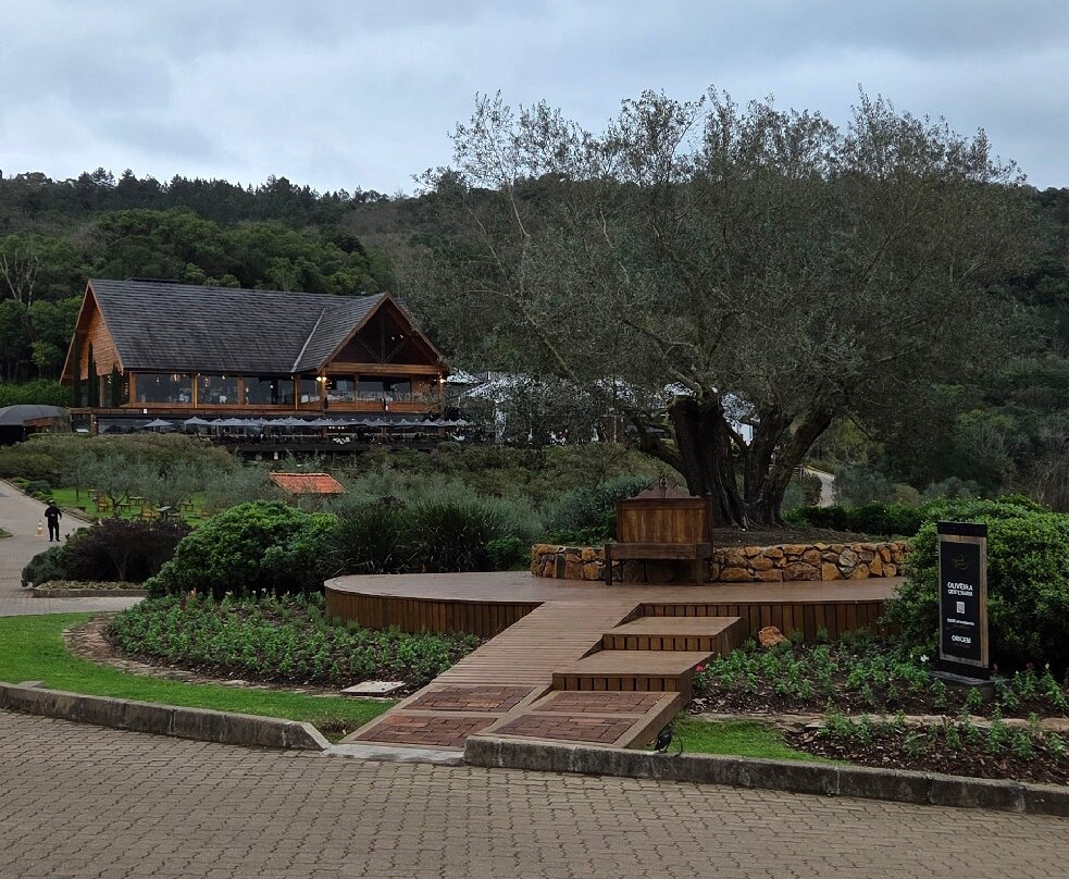 Parque Olivas de Gramado-格拉玛多必去景点