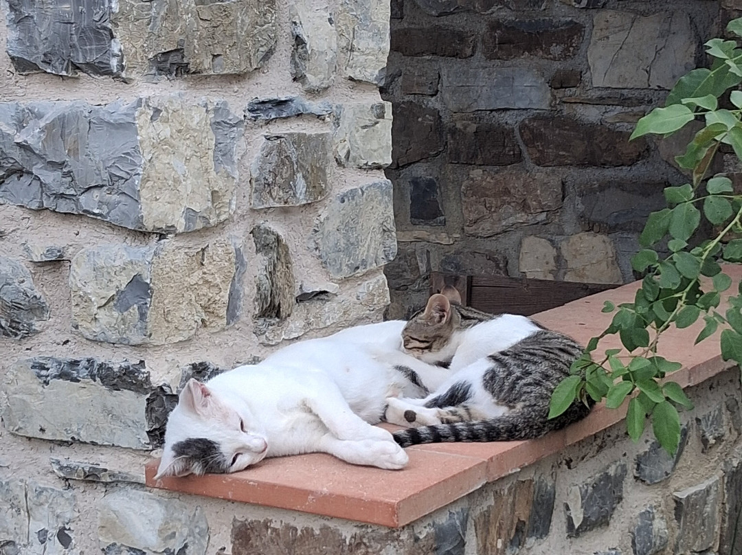 Agriturismo I Giunchi主图