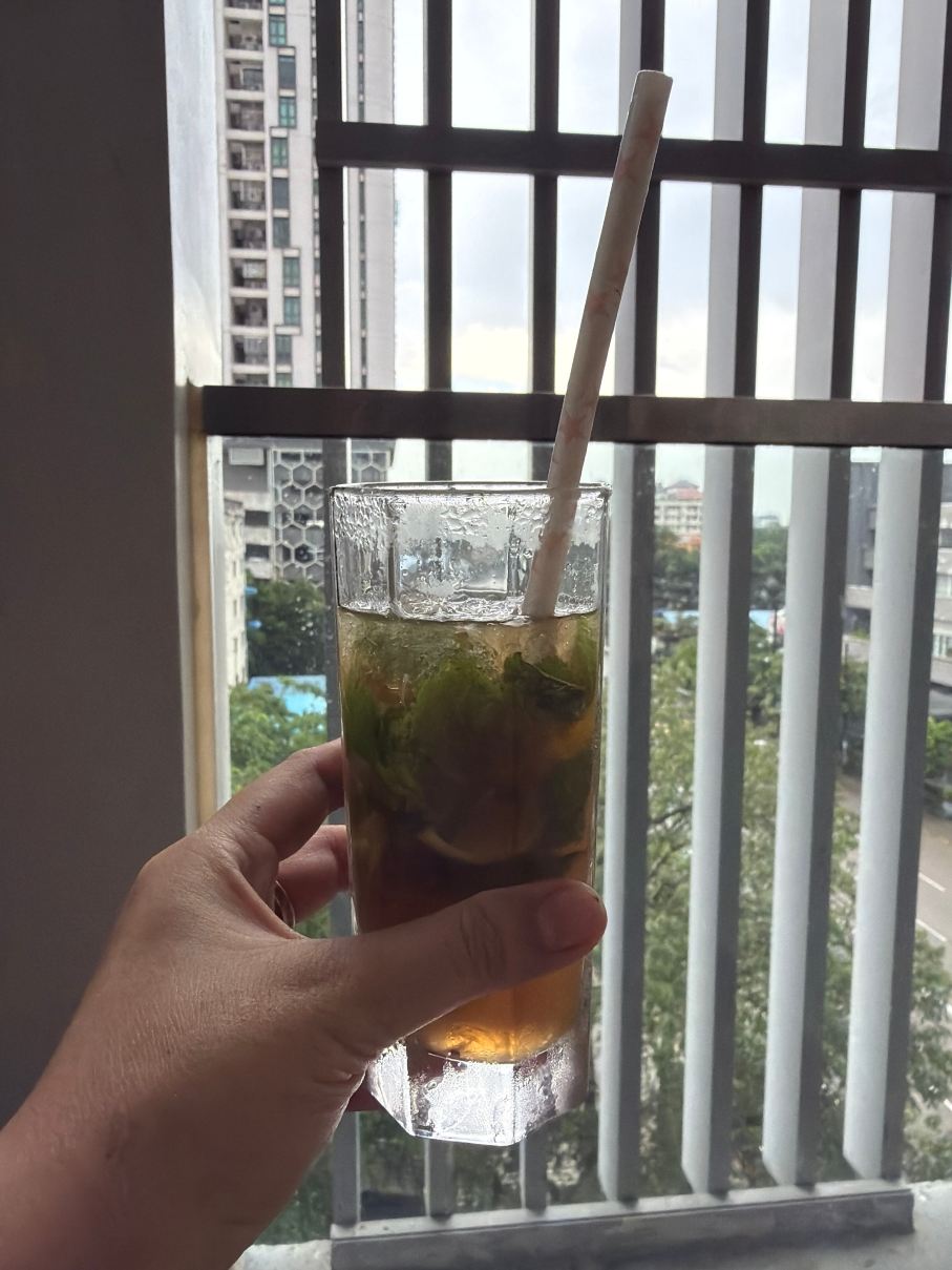 泽尔拉斯酒店及公寓-旅行者