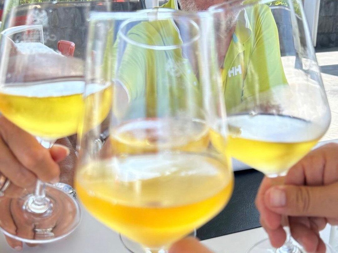 Tenuta Di Castellaro Winery-利帕里必去景点
