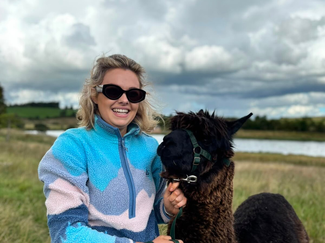 Alpacaly Ever After-Portinscale必去景点