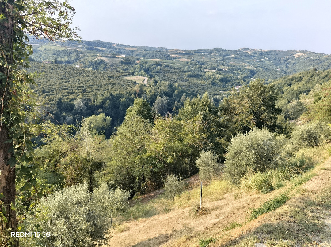 Agriturismo Sondrea主图
