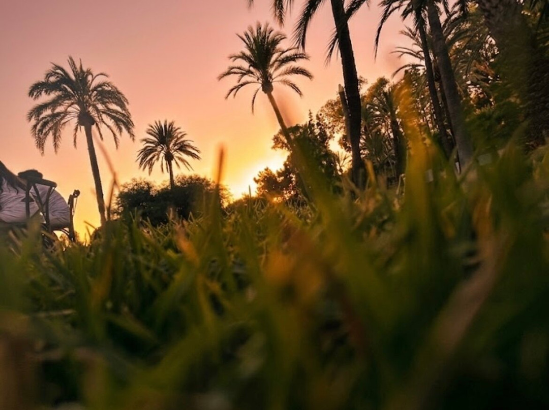 Club Med Magna Marbella主图