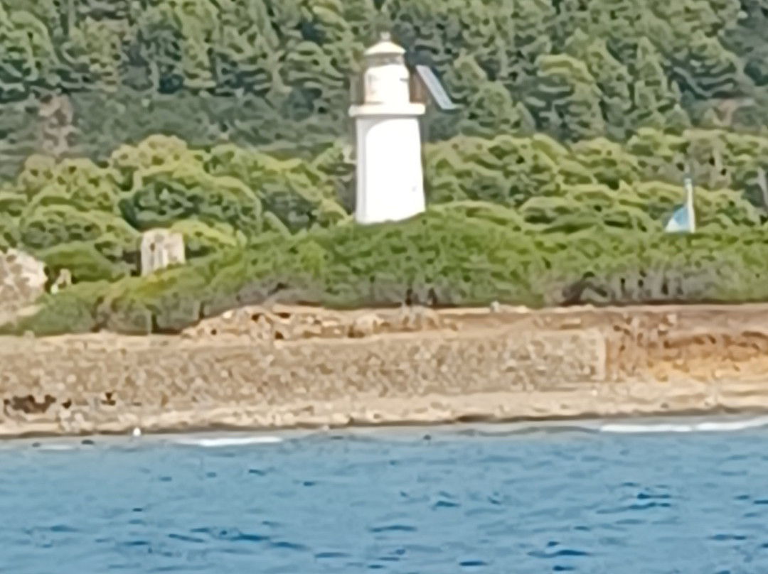 Seasun Boat Tours-Cetara必去景点