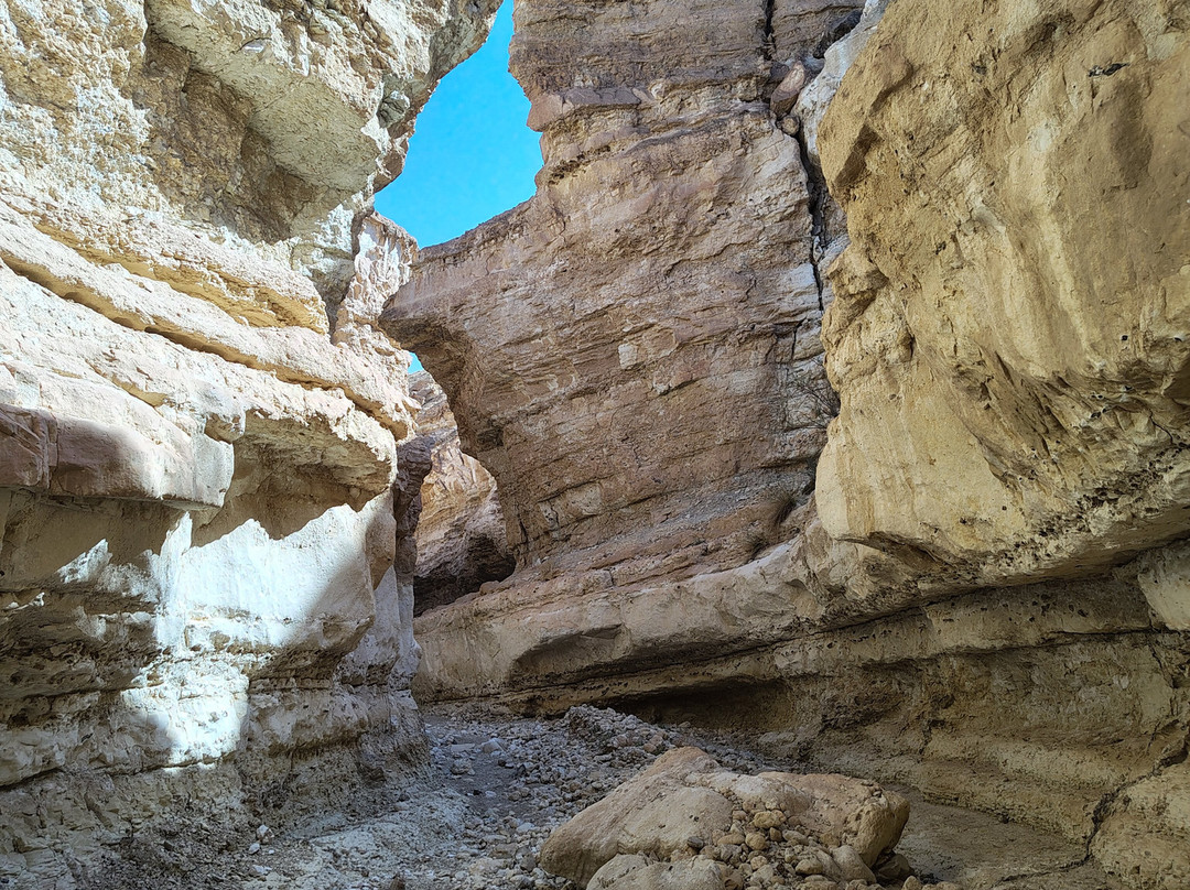 Tamerza Canyon-吐泽尔必去景点