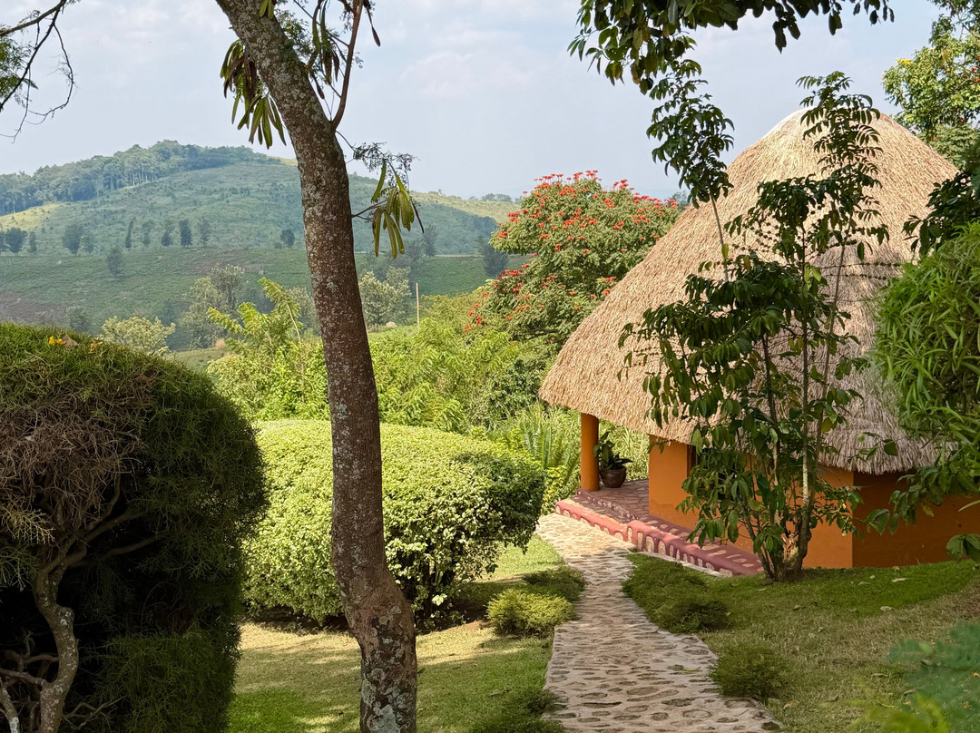 Chimpanzee Forest Lodge.主图