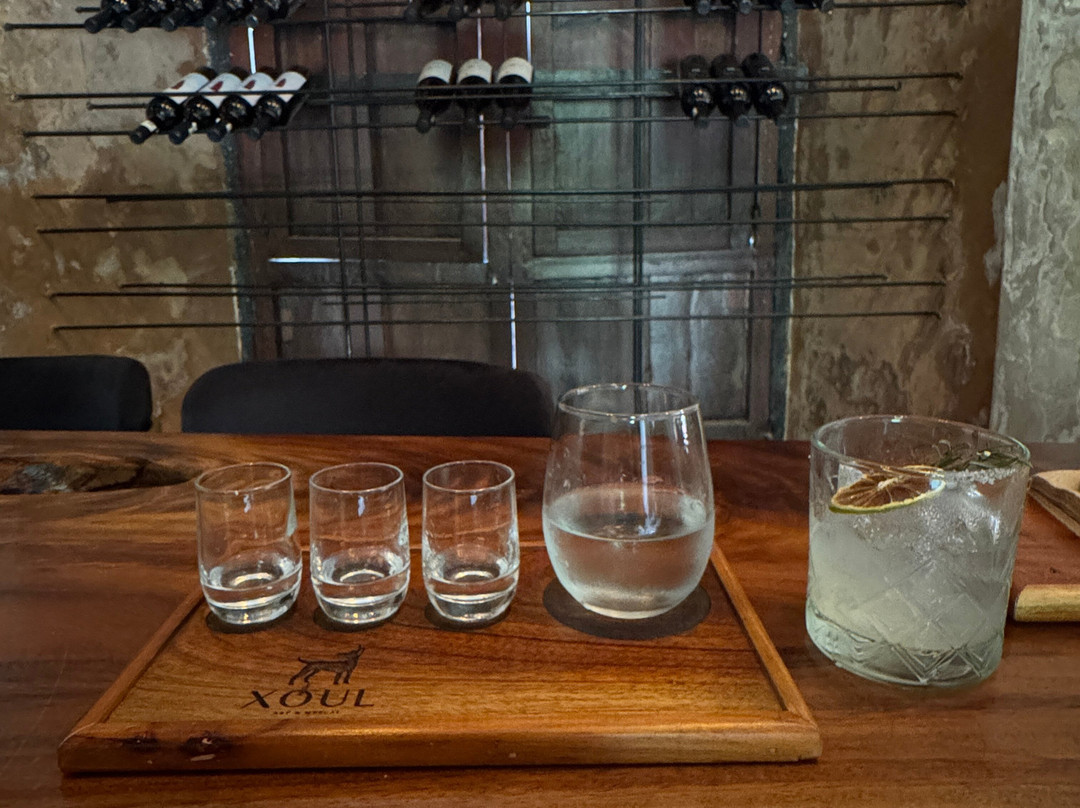 Xoul Art & Mezcal-巴利亚多利德必去景点