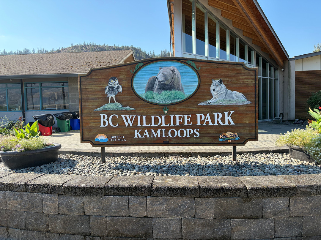 BC Wildlife Park-坎卢普斯必去景点