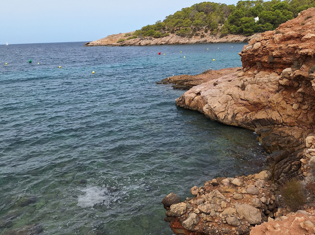 Playa Cala Salada-圣安东尼德波特曼尼必去景点