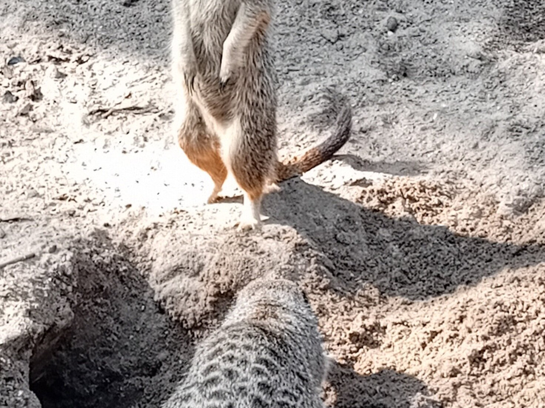 Zoo de Lille-里尔必去景点