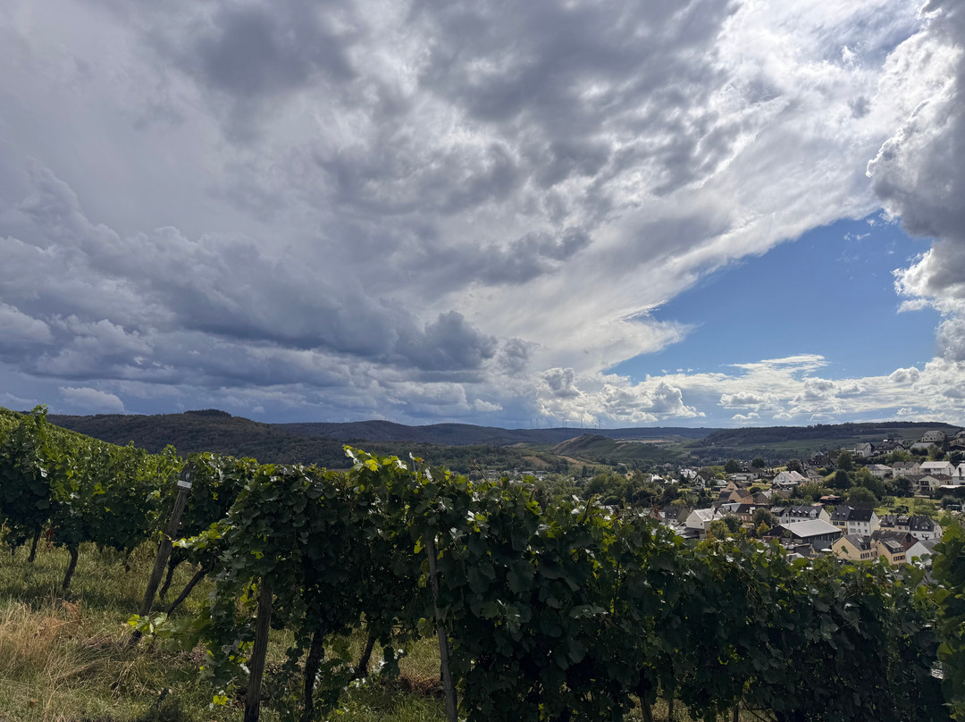 Weingut Kochan & Platz