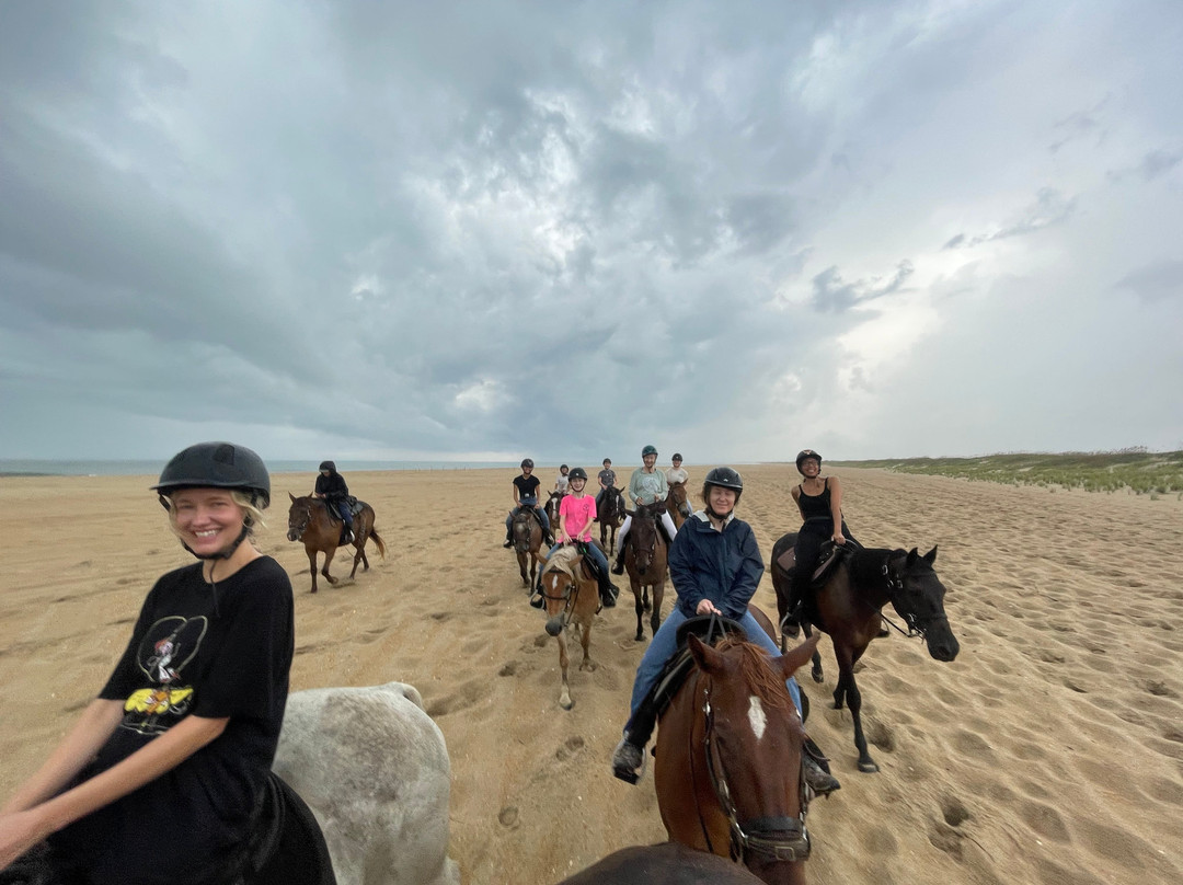 Equine Adventures-Frisco必去景点