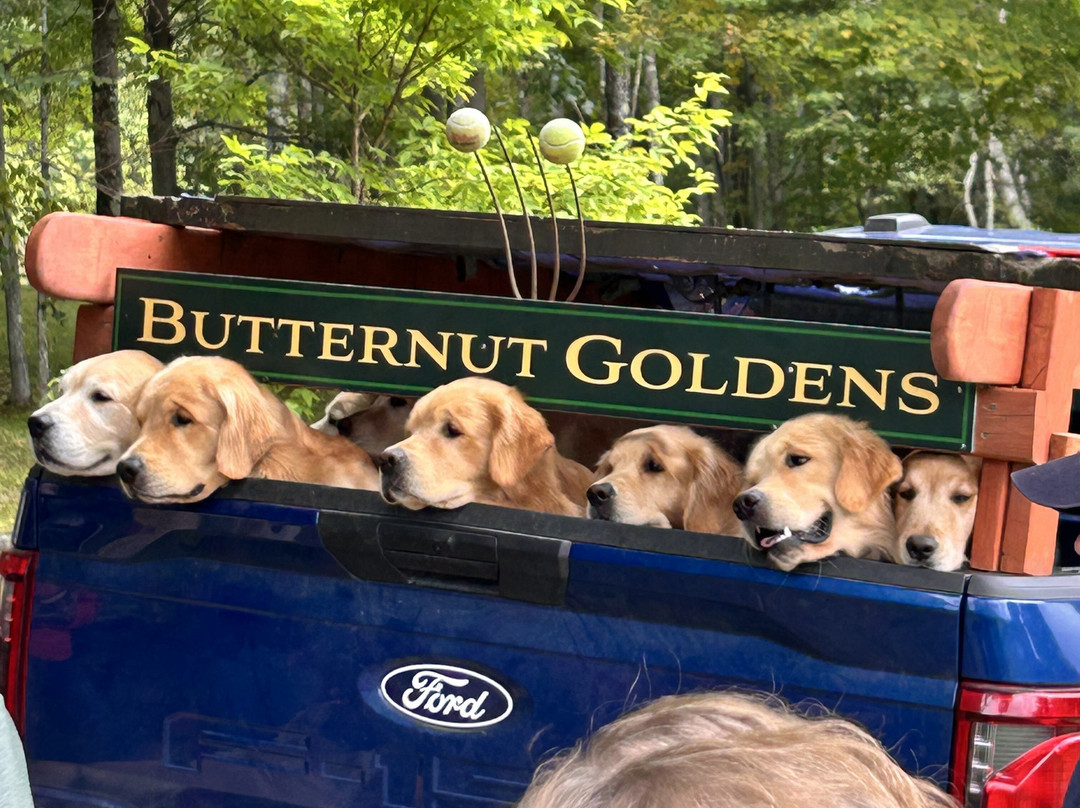 Golden Dog Farm-Jeffersonville必去景点