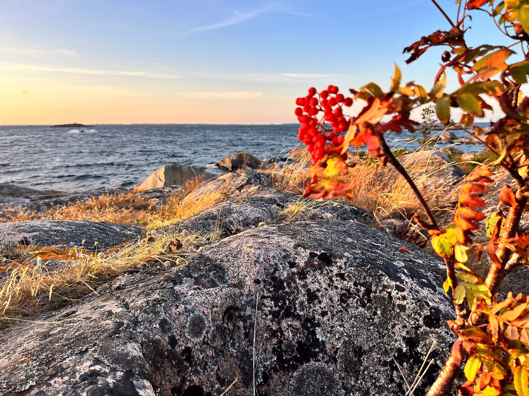 Vind o Vatten Sailing Tours and Adventures-Dalarö必去景点