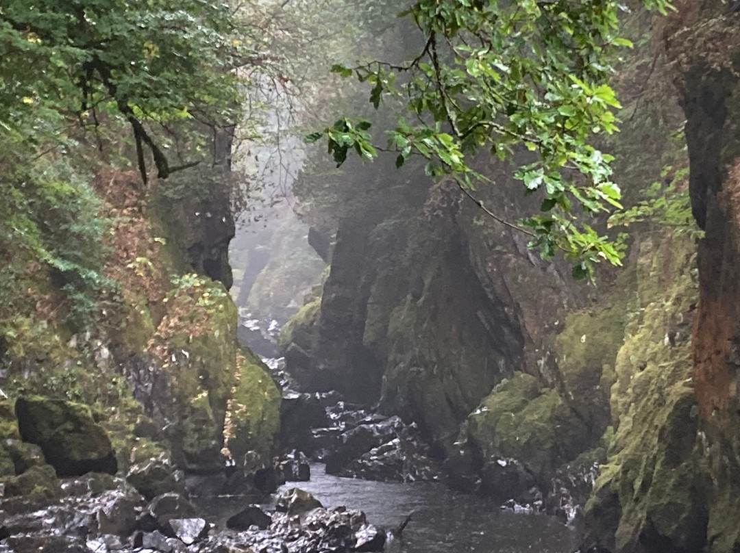 Fairy Glen-Betws-y-Coed必去景点