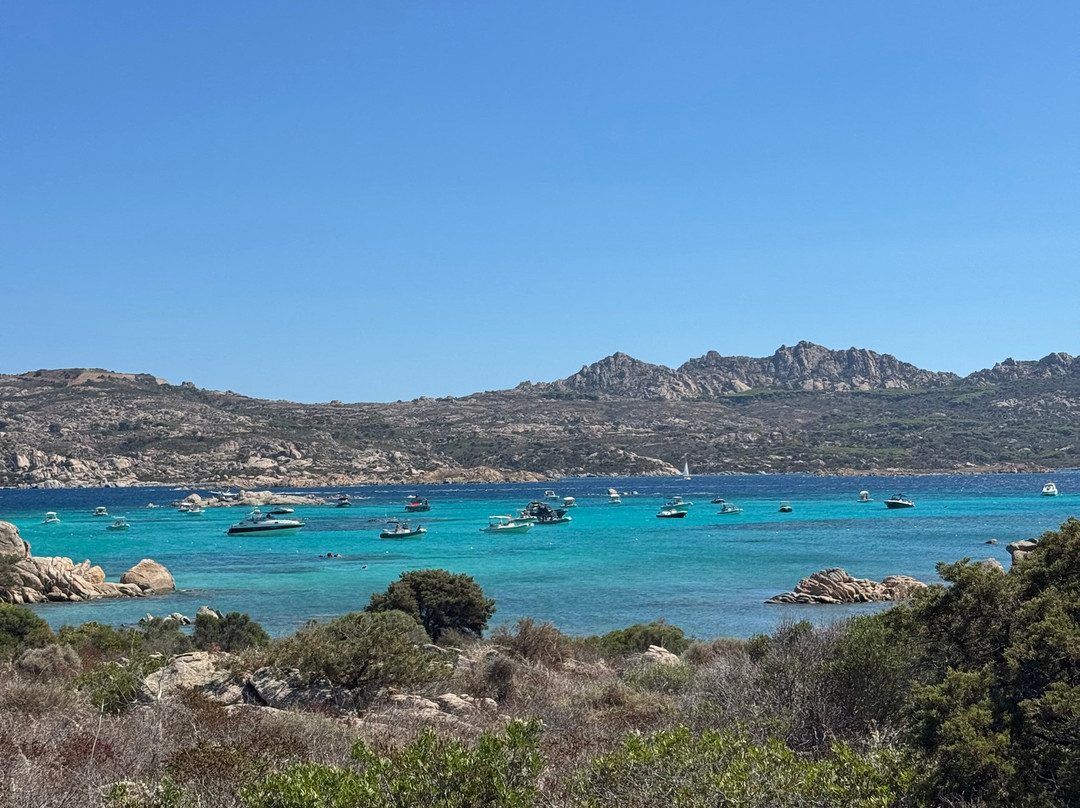Spiaggia Testa di Polpo-拉马达莱娜必去景点