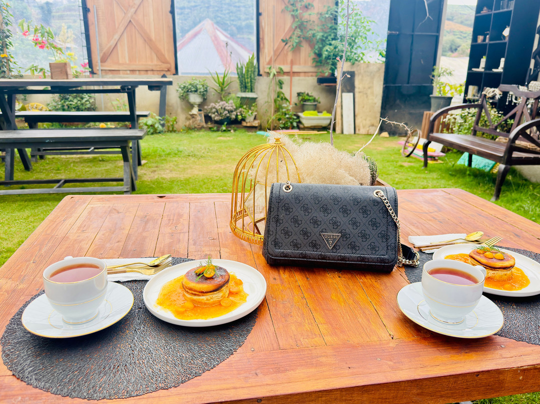 Forest Feast Organic Restaurant