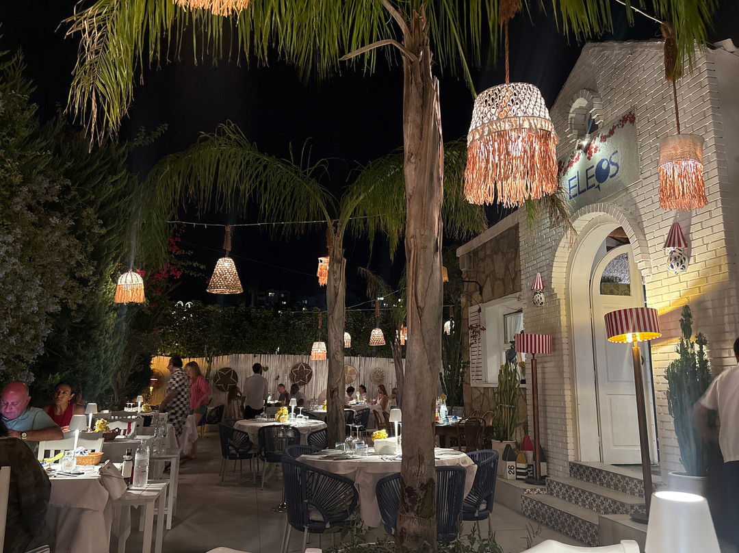 Eleos Bodrum