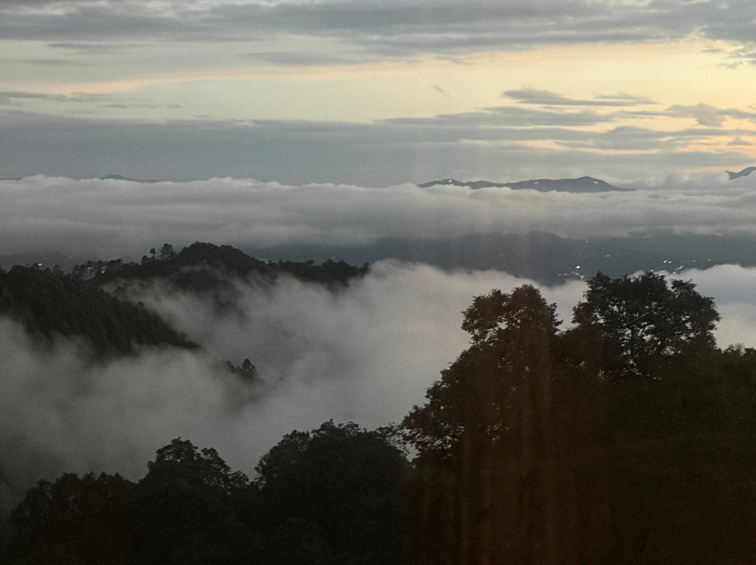 Nine Furlongs, Binsar Wildlife Sanctuary主图