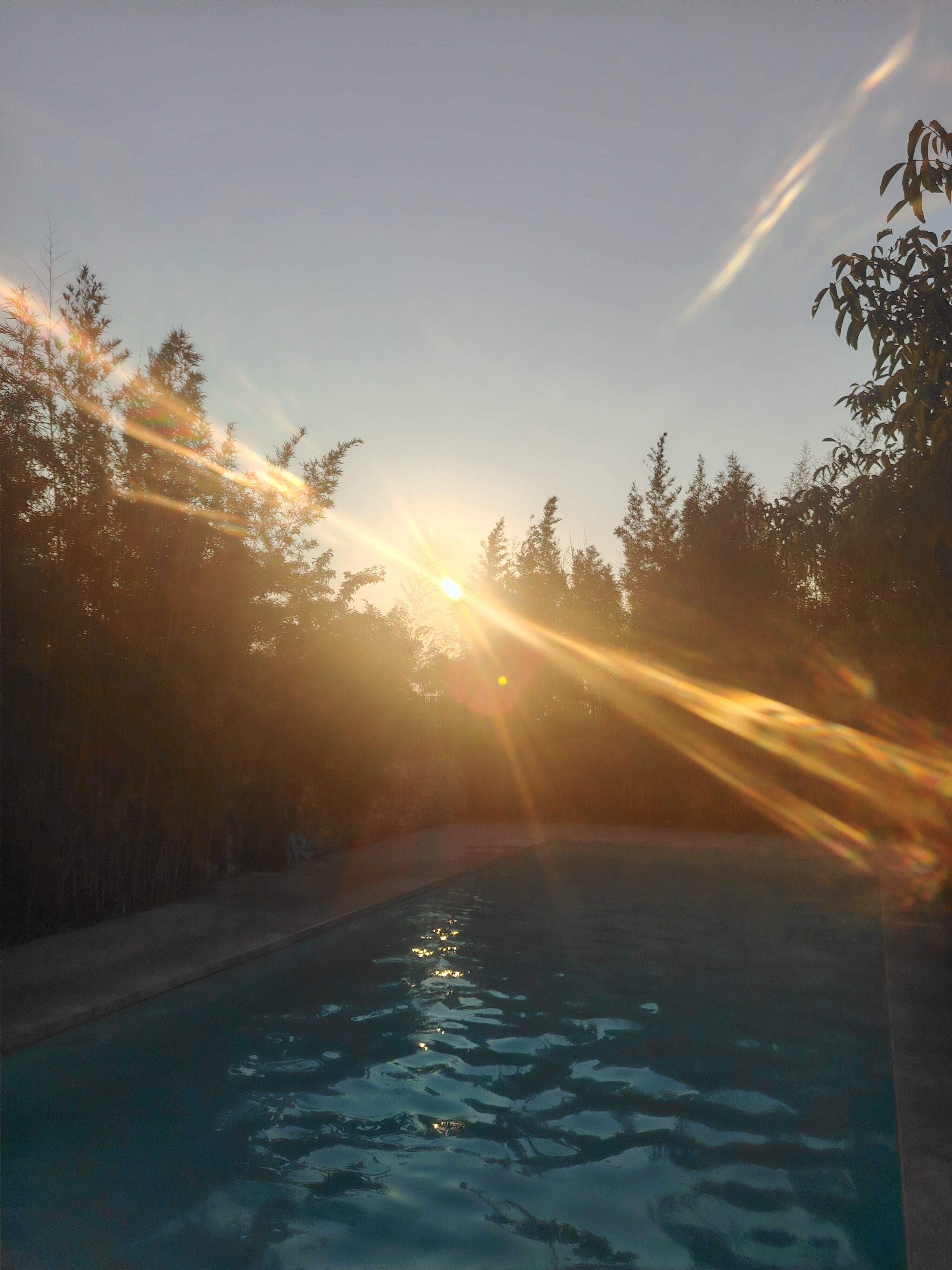 Bed and Breakfast La Magnolia-旅行者