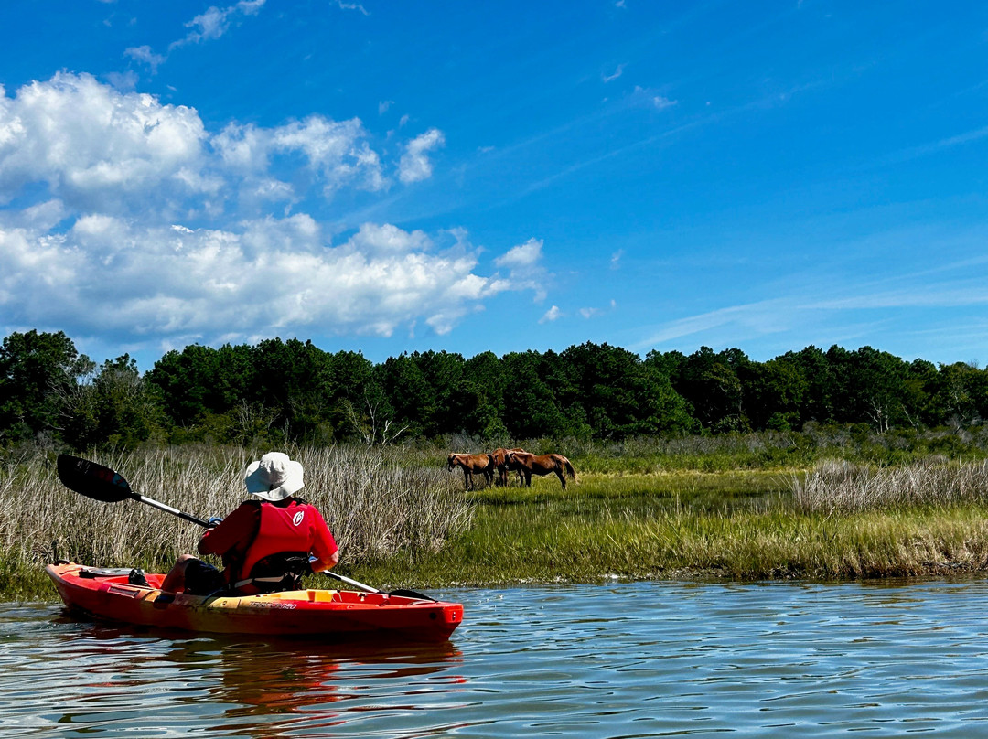Coastal Kayak-Fenwick Island必去景点