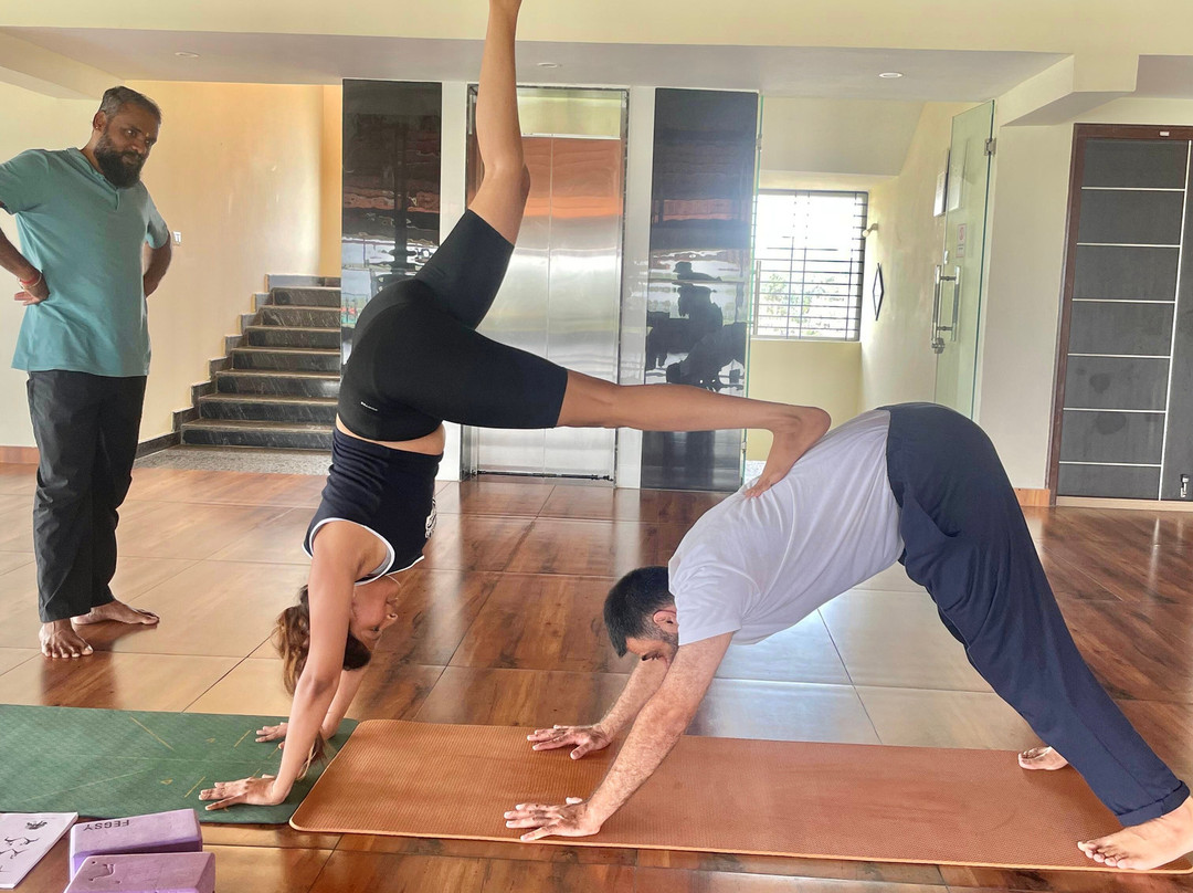 Yogadarshanam-Ashtanga Yoga Institute-迈索尔必去景点