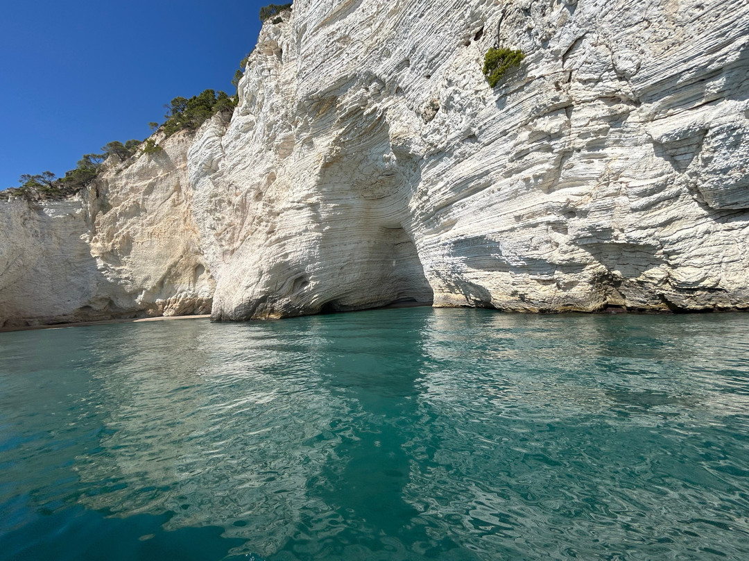 Costante Nicola Agenzia Tour Delle Grotte-佩斯基奇必去景点