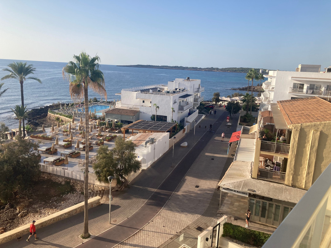 Protur Alicia Hotel主图