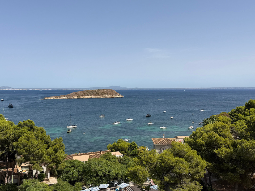 Alua Calvia Mallorca主图