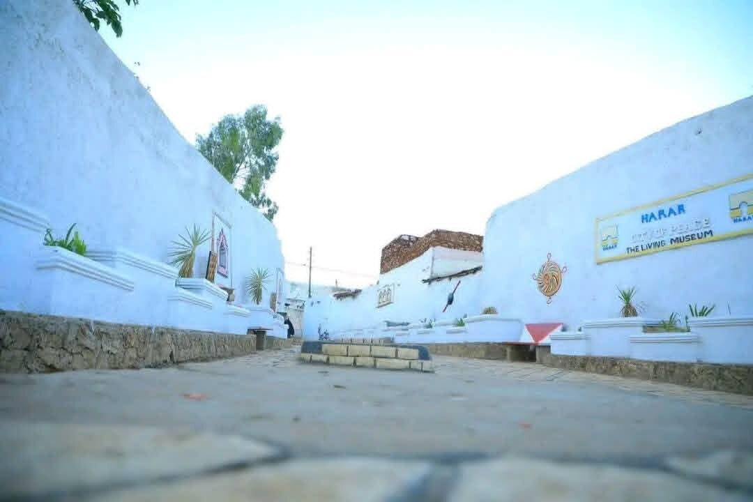 Edom Harar Tours & Car Rentals-哈勒尔必去景点