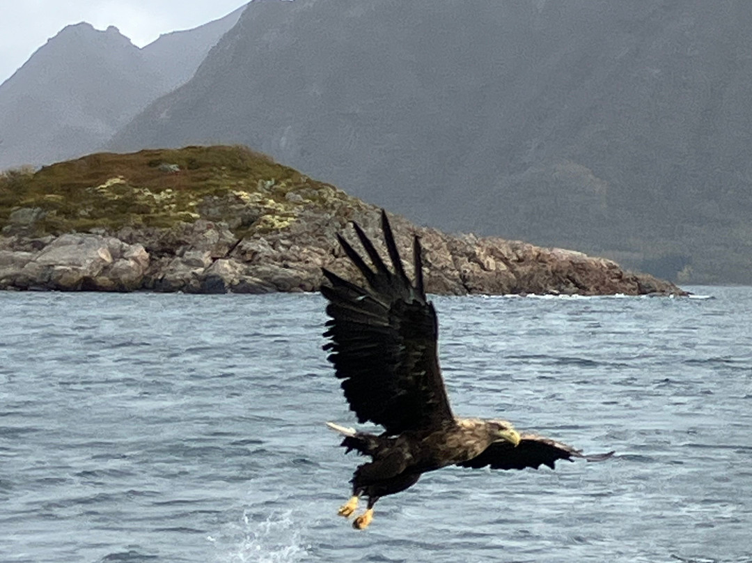 Go2Lofoten-斯沃尔韦尔必去景点
