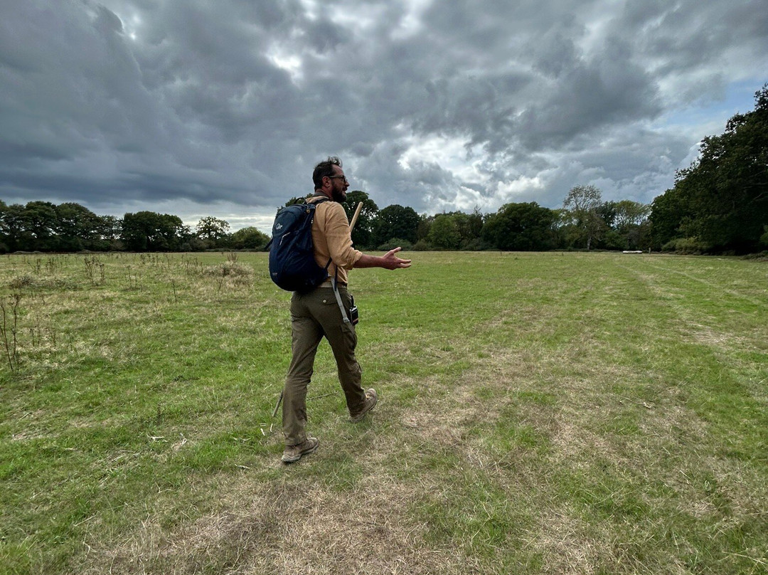 Knepp Wildland Safaris-霍舍姆必去景点