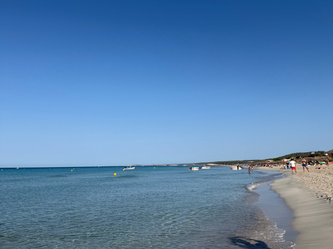 Playa de Son Bou-阿拉约尔必去景点