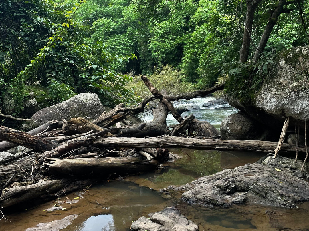 Khao Yai National Park-北丕必去景点