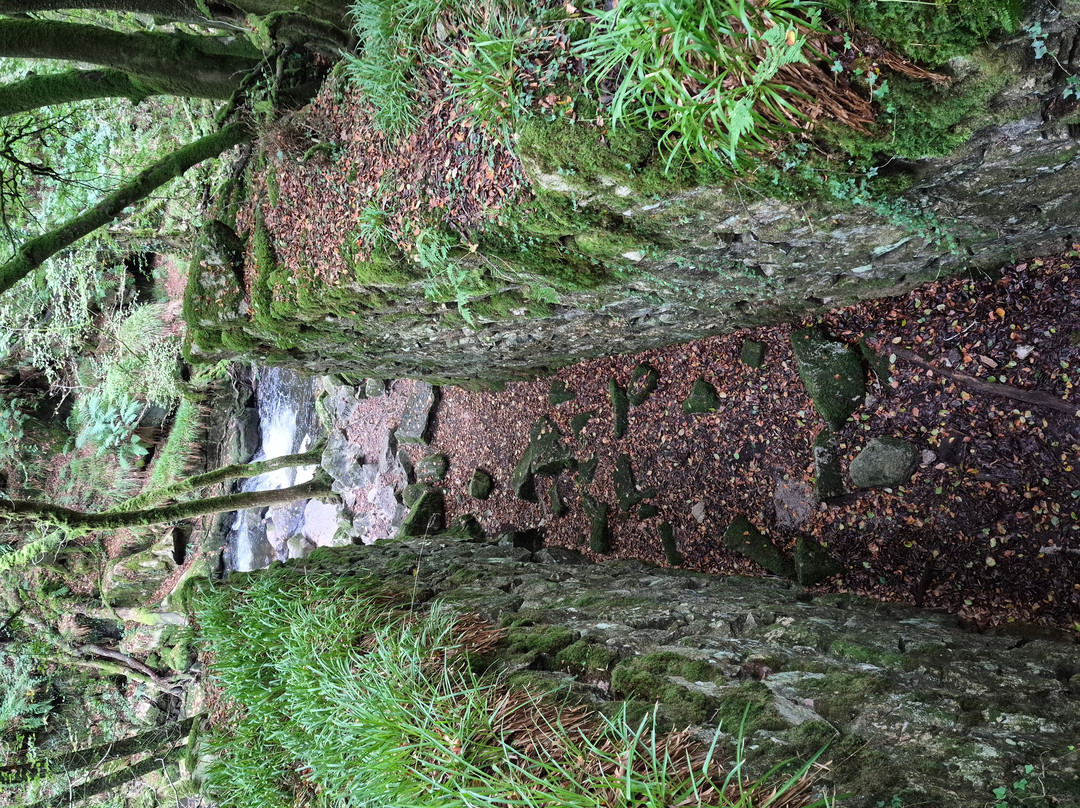 Golitha Falls-利斯卡德必去景点