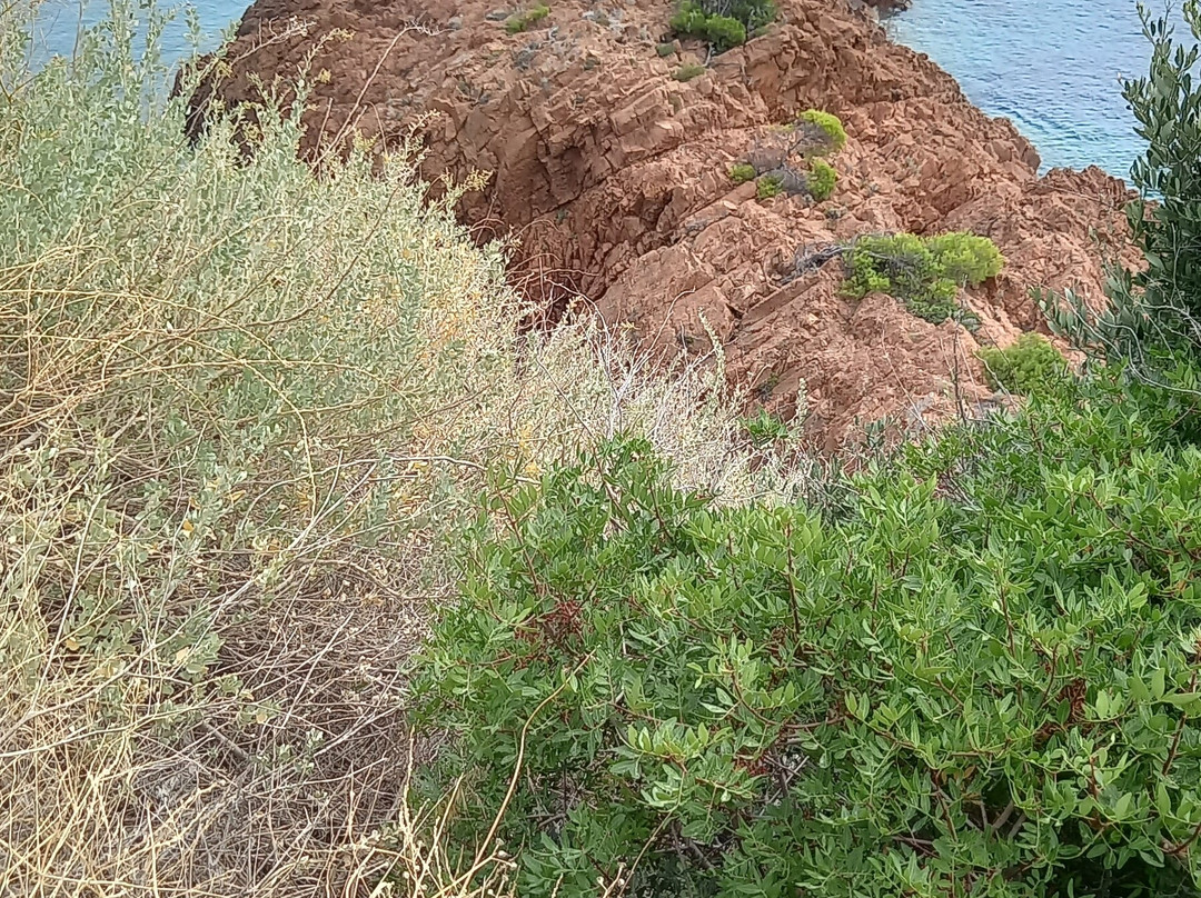 Massif de l'Esterel-Agay必去景点
