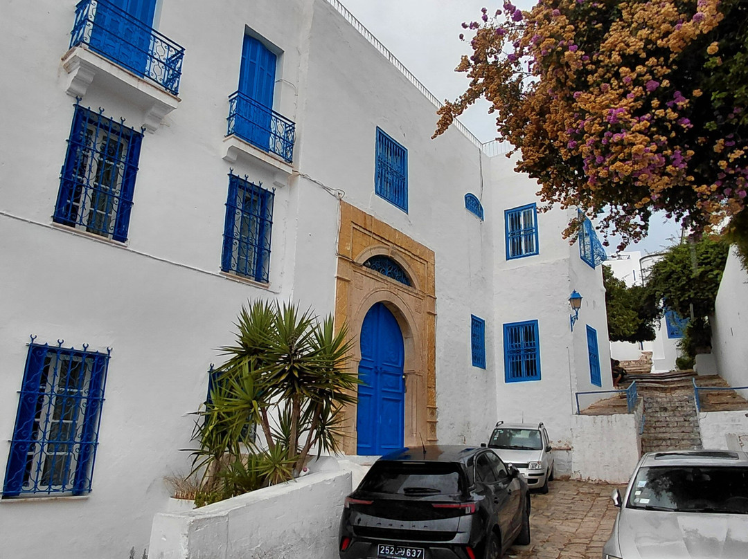 Mosquée De Sidi Bou Said-蓝白小镇必去景点