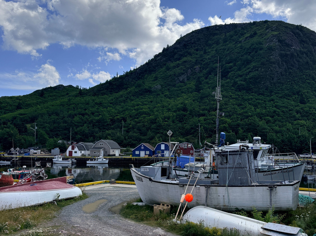 Petty Harbour Public House