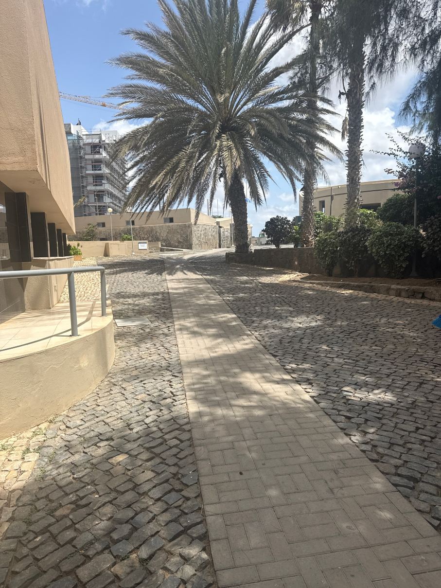 普拉亚玛尔绿洲酒店-旅行者
