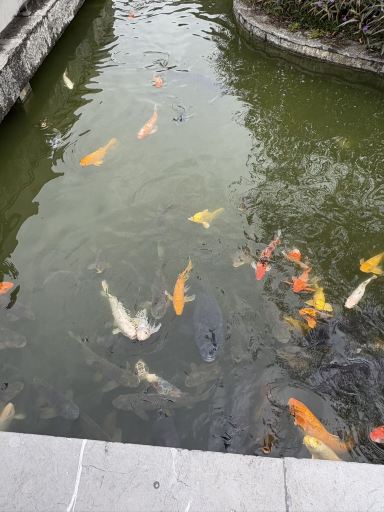 阳朔悦榕庄-旅行者
