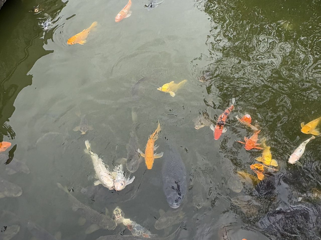 阳朔悦榕庄主图