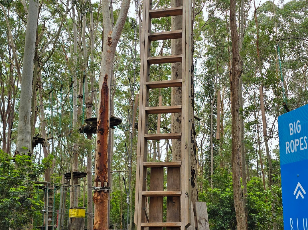 TreeTops Newcastle-纽卡斯尔必去景点