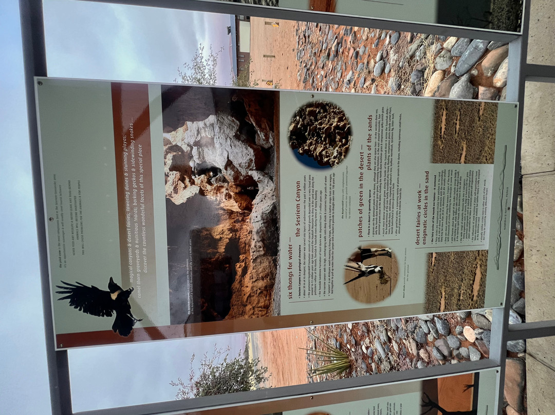 Namib-Naukluft National Park-赛斯瑞必去景点