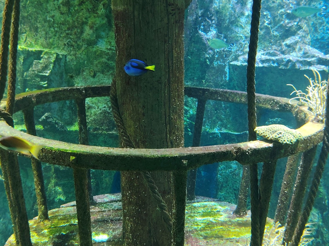 Grand Aquarium-圣马洛必去景点