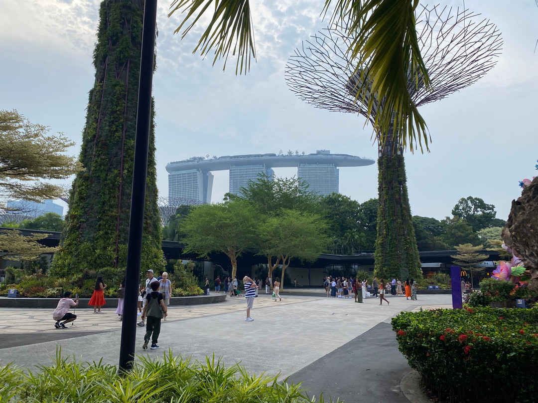 Novotel Singapore Robertson Quay主图