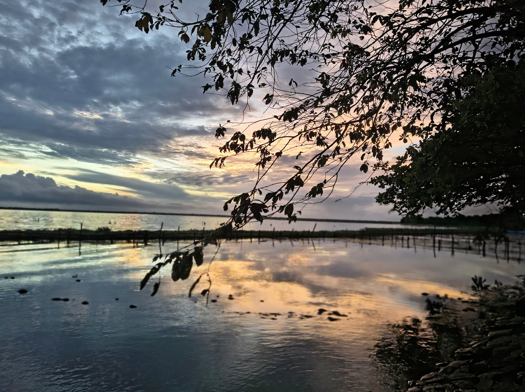 Vembanad Lake-卡拉拉必去景点