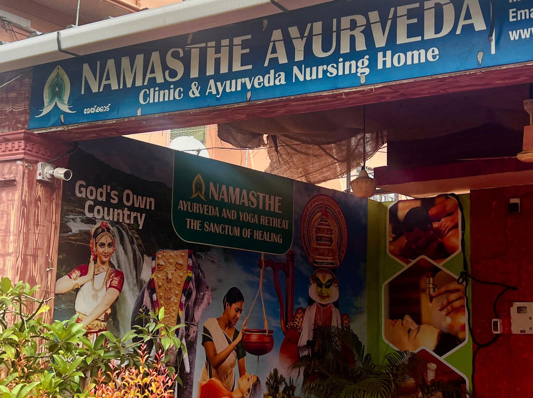 Namasthe Ayurveda And Yoga Retreat-尼杜巴塞莱必去景点