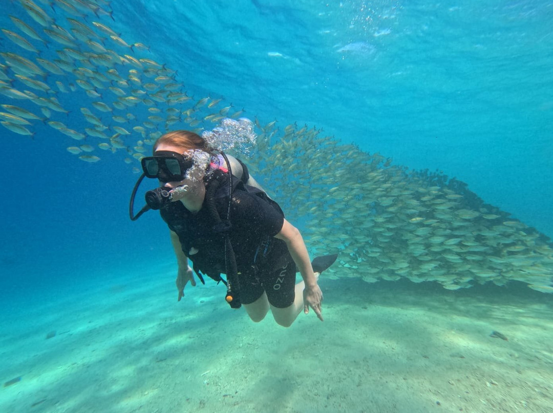 Menjangan Bali