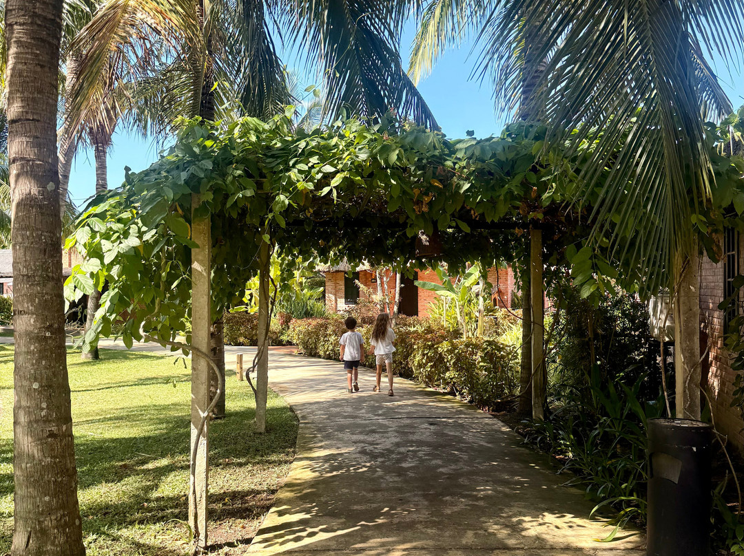 ENSO Retreat Hoi An - Rediscovery & Serenity主图