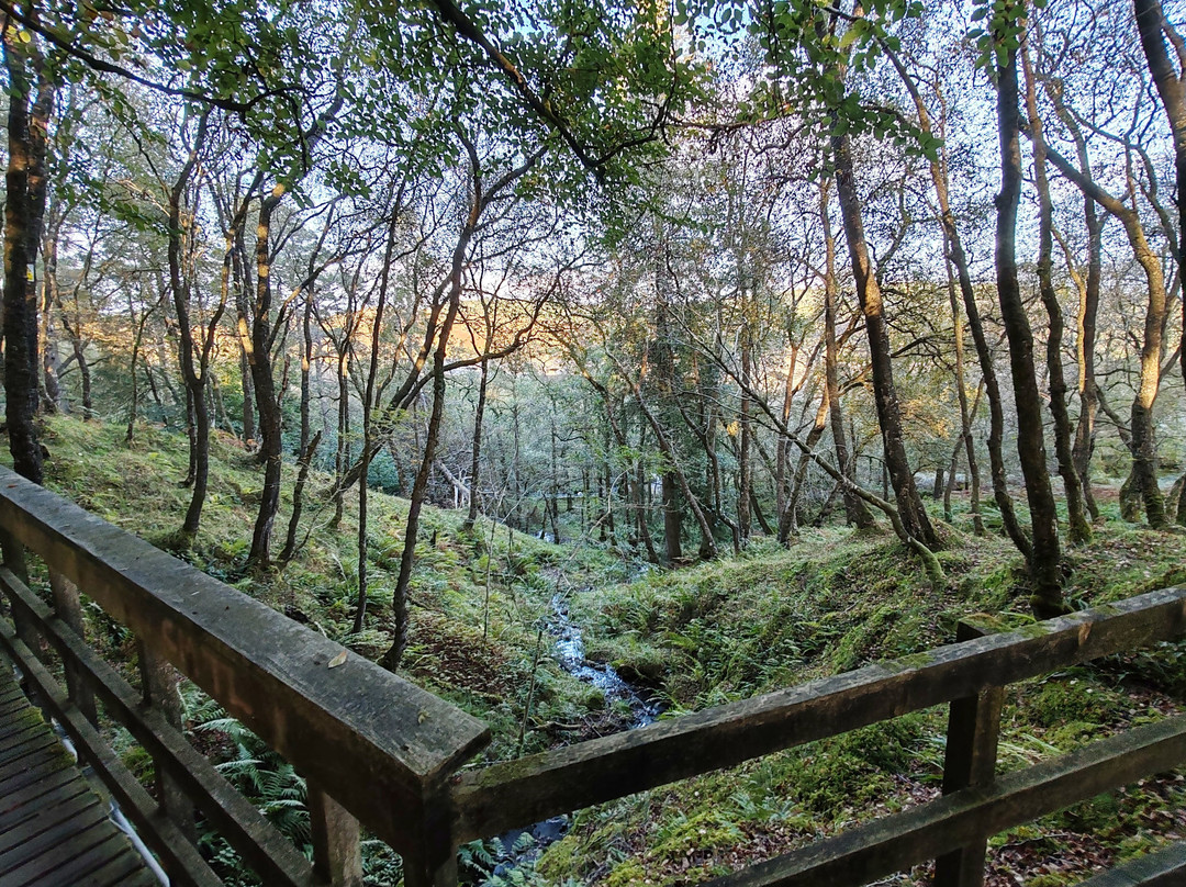 Loch Doon-Dalmellington必去景点